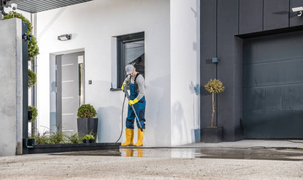 Best Dumpster Area Cleaning  in Island Park, NY